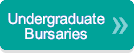 undergradbutton png